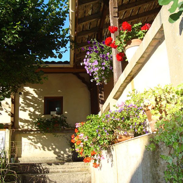 Drake Cottage Gite