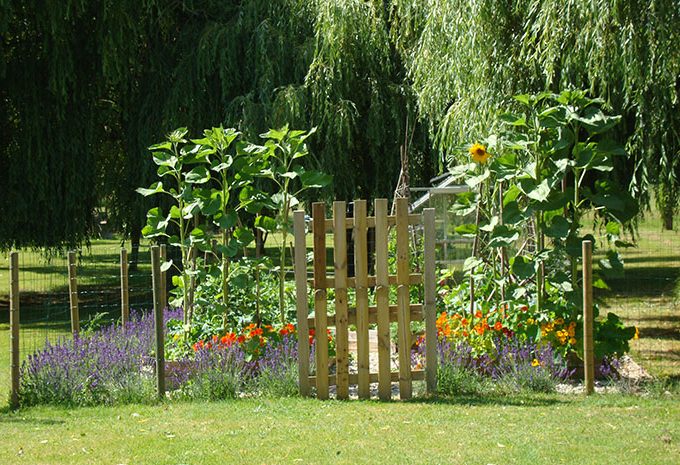 Sevenne vegetables, herbs and fruit for guests to enjoy