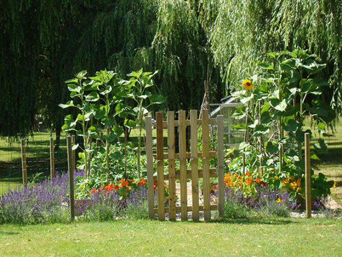 Sevenne vegetables, herbs and fruit for guests to enjoy